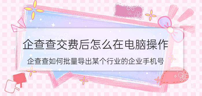 企查查交费后怎么在电脑操作 企查查如何批量导出某个行业的企业手机号？